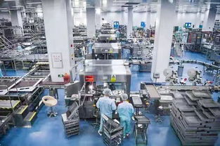 百名社長(zhǎng)總編走進(jìn)無(wú)限極新會(huì)生產(chǎn)基地受羊城晚報(bào)等全國(guó)主流媒體關(guān)注