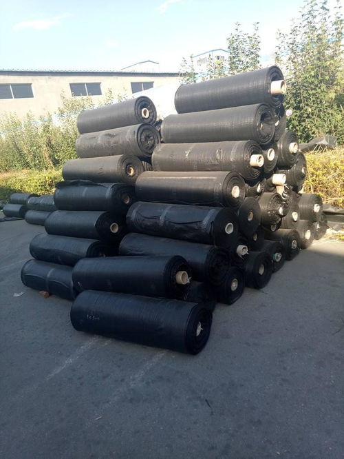 防草布生產(chǎn)廠家